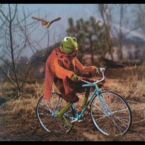 Meet your Posher, Piper